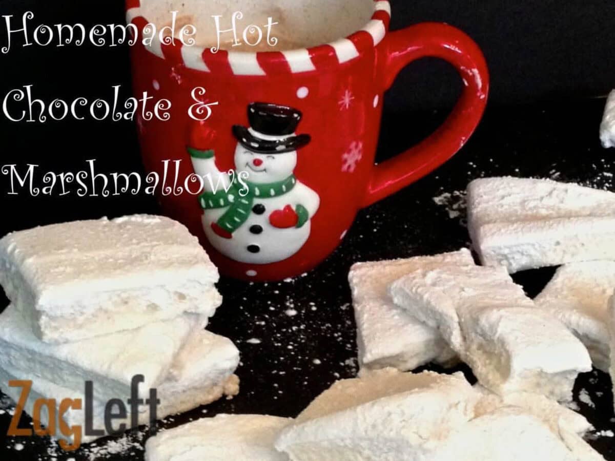 Homemade Hot Chocolate and Marshmallows from Zagleft - 6a Homemade marshmallow squares scattered around a mug of hot chocolate