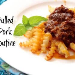 A plate of Pulled Pork Poutine