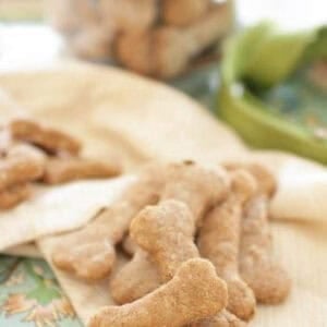 An overhead view of a jar of bone shaped dog treats on a metal tray next to a dog leash and scattered treats